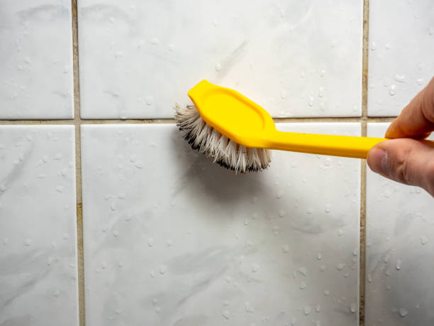 Best Mold Cleaning Services  in Port Angeles East, WA